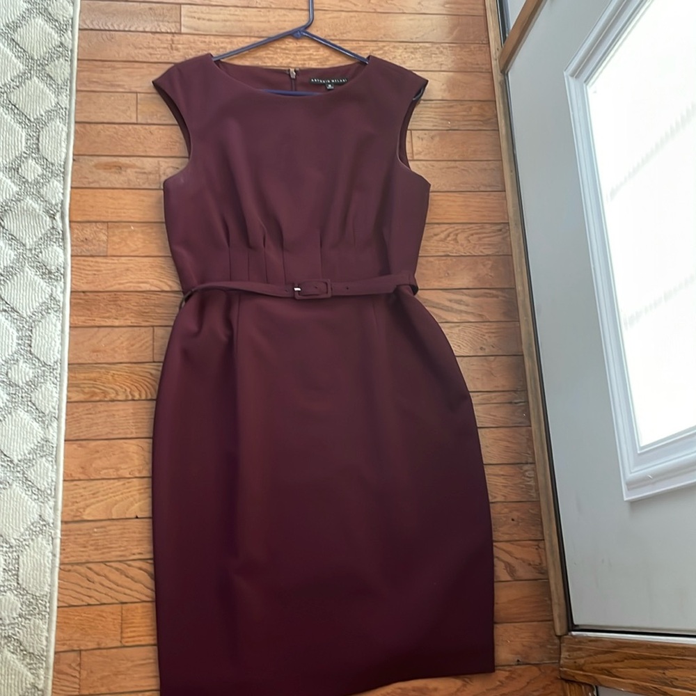 Very Elegant maroon dress
